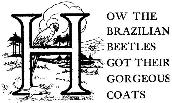 How the Brazilian Beetles Got Their Gorgeous Coats (Fairy Tales from Brazil,  1917) by Elsie Spicer Eells –